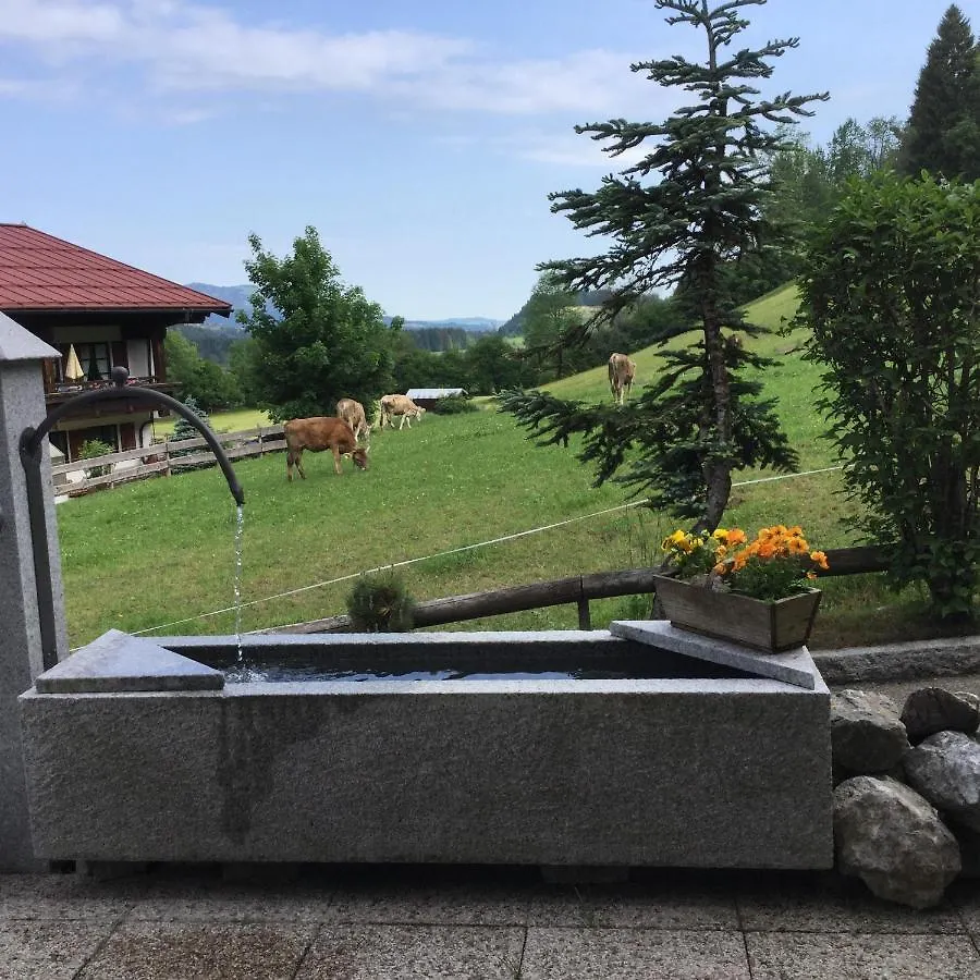 Appartement Ferienwohnung Baldauf Oberstdorf Duitsland