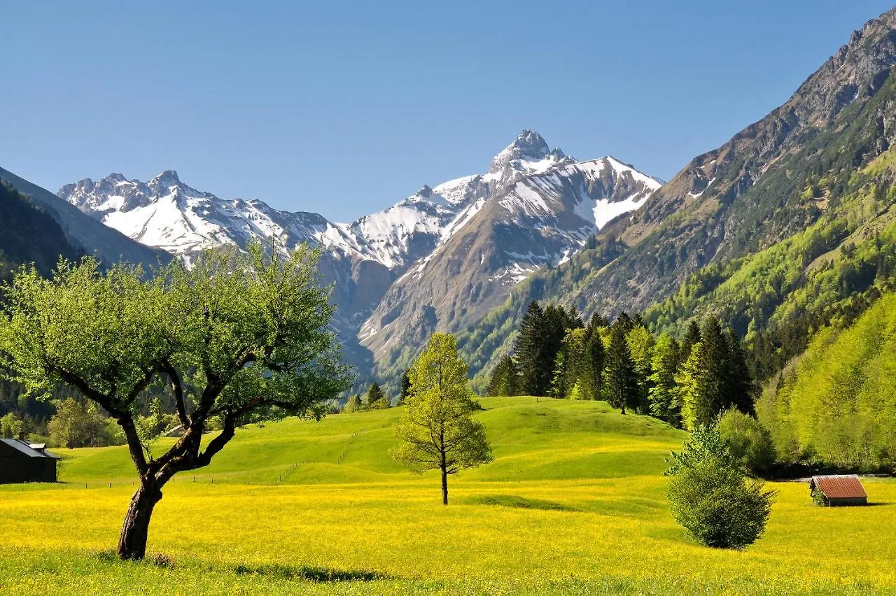 Ferienwohnung Baldauf Oberstdorf